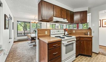 132 REILING Rd, Breckenridge, CO 80424