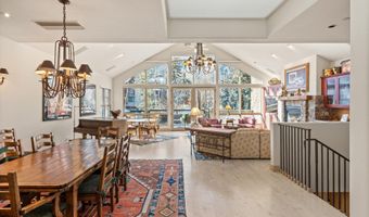 990 E Hopkins Ave, Aspen, CO 81611