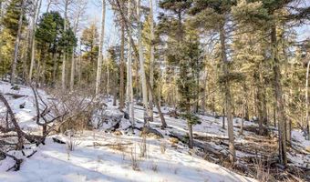 45 And 46 Sacramento Dr, Angel Fire, NM 87710