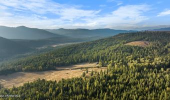 4575 Blacktail Rd, Careywood, ID 83809