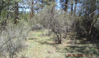 Jaguar Lane Lot 29, Bonanza, OR 97623