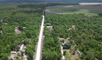 6489 11th Ave, Bell, FL 32619