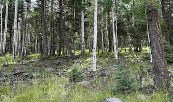 Lot 577 El Camino Real, Angel Fire, NM 87710