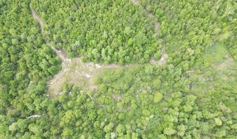 TBD NW CR 274, Altha, FL 32421