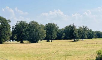 234 Hcr 2205, Aquilla, TX 76622