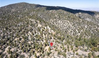 4295 Noodle, Angelus Oaks, CA 92305