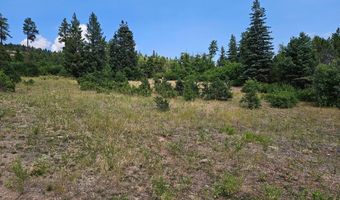 6738 Greenhorn Mountain Dr, Beulah, CO 81023