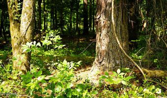 Cypress Pointe Drive lot 7, Brooksville, MS 39739