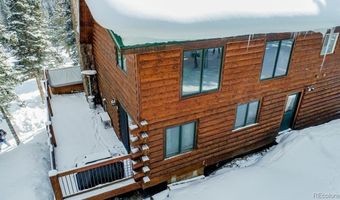 229 Lee Ln, Breckenridge, CO 80424