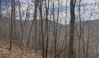 0 TBD Elleber Sods Rd, Bartow, WV 24920