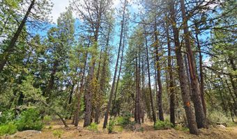 13559 Sparrow Dr, Bonanza, OR 97623