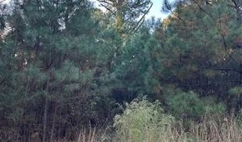 421041 E 1945 Ln, Antlers, OK 74523