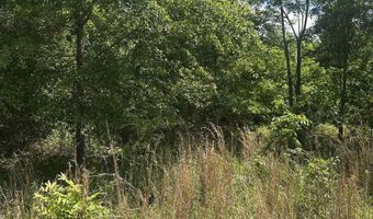 Double Pond Road, Blackville, SC 29817