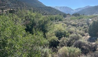 1220 SETTLER'S Way, Dyer, NV 89010