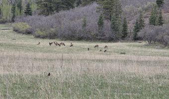 15098 CR 240, Bayfield, CO 81122