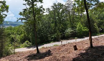 Lot 42 Bayside Boulevard, Bean Station, TN 37708