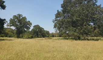 411955 1940 Rd, Antlers, OK 74523