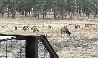 2 CR N2261, Alpine, AZ 85920