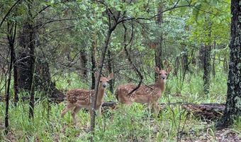 TBD CR 4650, De Kalb, TX 75559