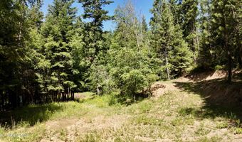 1710 Tower Mountain Rd, Blanchard, ID 83804