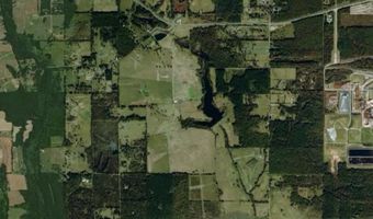 Pine Prairie Rd, Ashdown, AR 71822