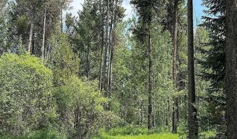 1597 Annies Lndg, Ashton, ID 83420