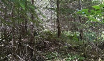 Glenn Creek Rd 300, Allegany, OR 97407