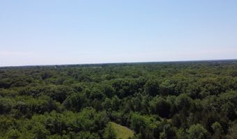 796 Blue Branch Rd, Bennington, OK 74723