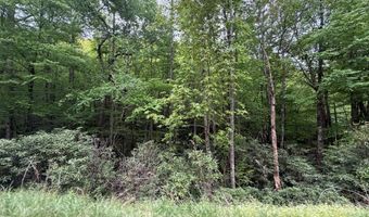 Warrior Way lot 9 & 17, Andrews, NC 28901