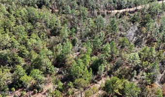 Grand Mesa Avenue, Alford, FL 32420