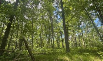 BENNETT Road 6, Amberg, WI 54102