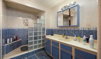 411 Palmetto Palm St, Alamo, TX 78516