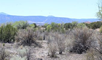 BEAN CREEK Road, Abiquiu, NM 87510