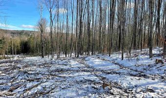 001 Duck Pond Rd Lot #1, Barton, VT 05822