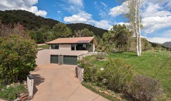 561 Booth Ln, Basalt, CO 81621