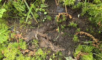 Cummings Lane, Acton, ME 04468