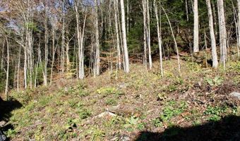 1066 Country Club Rd, Brandon, VT 05733