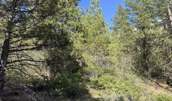 Thunderbear Road 46, Bonanza, OR 97623