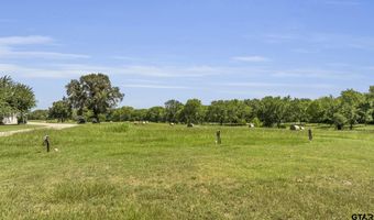 365 County Road 1534, Alba, TX 75410