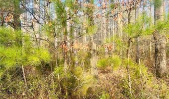 Cyrpess Point Drive, Akron, AL 35441