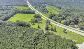 7667 Tallahassee Hwy, Attapulgus, GA 39815