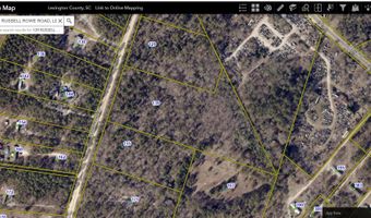139 Russell Rowe Rd, Leesville, SC 29070