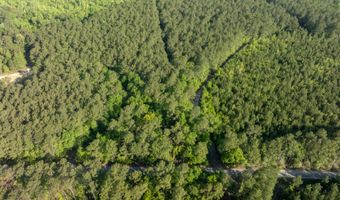 Ethridge Drive, Andrews, SC 29510