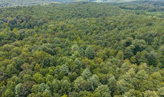 Holiday Lake Rd, Appomattox, VA 24522