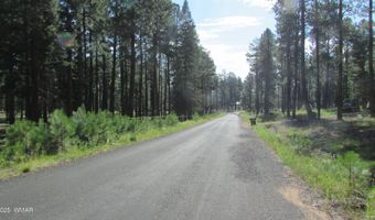 8 County Road 2194, Alpine, AZ 85920