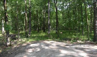 70 Green Head Ln, Altheimer, AR 72004