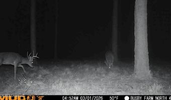U.S. Highway 51, Bogue Chitto, MS 39629