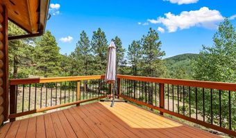 299 Antelope Dr, Bayfield, CO 81122