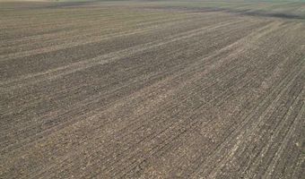Amboy Road, Amboy, IL 61310