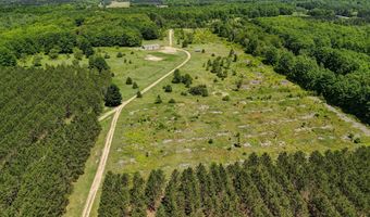 303 Westwood Rd NW, Alden, MI 49612